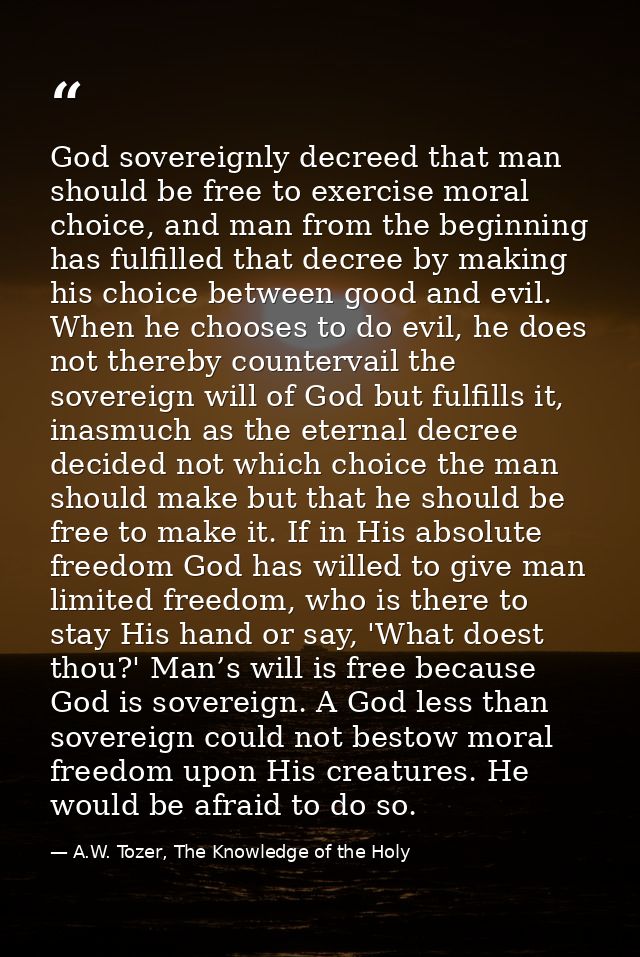 God sovereignly decreed that man should be free to exercise moral choice, and man from the beginning has fulfilled that  — A.W. Tozer, The Knowledge of the Holy