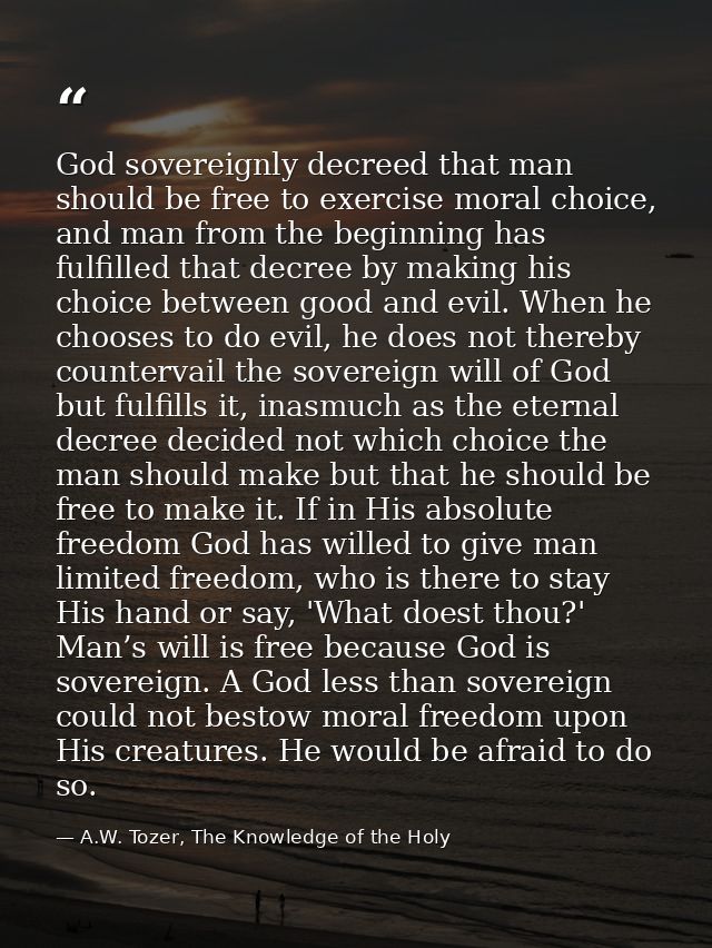 God sovereignly decreed that man should be free to exercise moral choice, and man from the beginning has fulfilled that  — A.W. Tozer, The Knowledge of the Holy