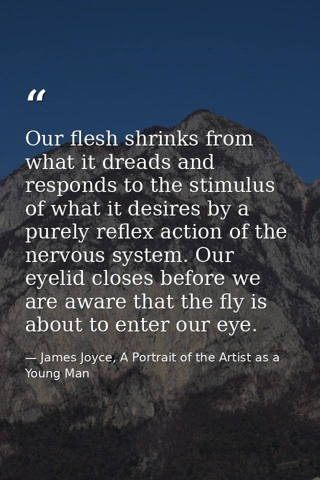 Our flesh shrinks from what it dreads and responds to the stimulus of what it desires by a purely reflex action of the n — James Joyce, A Portrait of the Artist as a Young Man