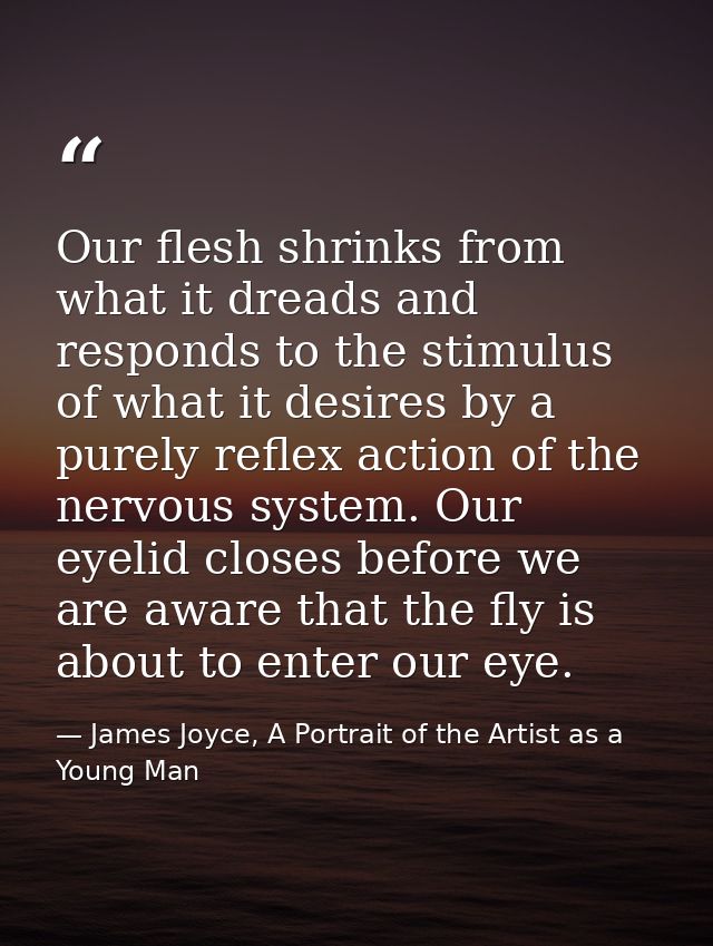 Our flesh shrinks from what it dreads and responds to the stimulus of what it desires by a purely reflex action of the n — James Joyce, A Portrait of the Artist as a Young Man