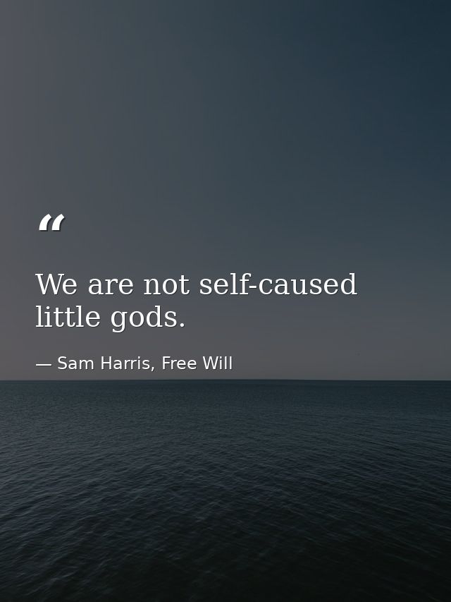 We are not self-caused little gods. — Sam Harris, Free Will