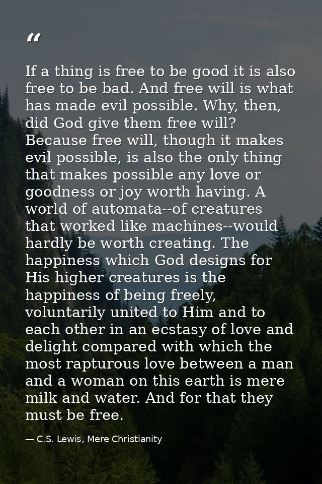 If a thing is free to be good it is also free to be bad. And free will is what has made evil possible. Why, then, did Go — C.S. Lewis, Mere Christianity