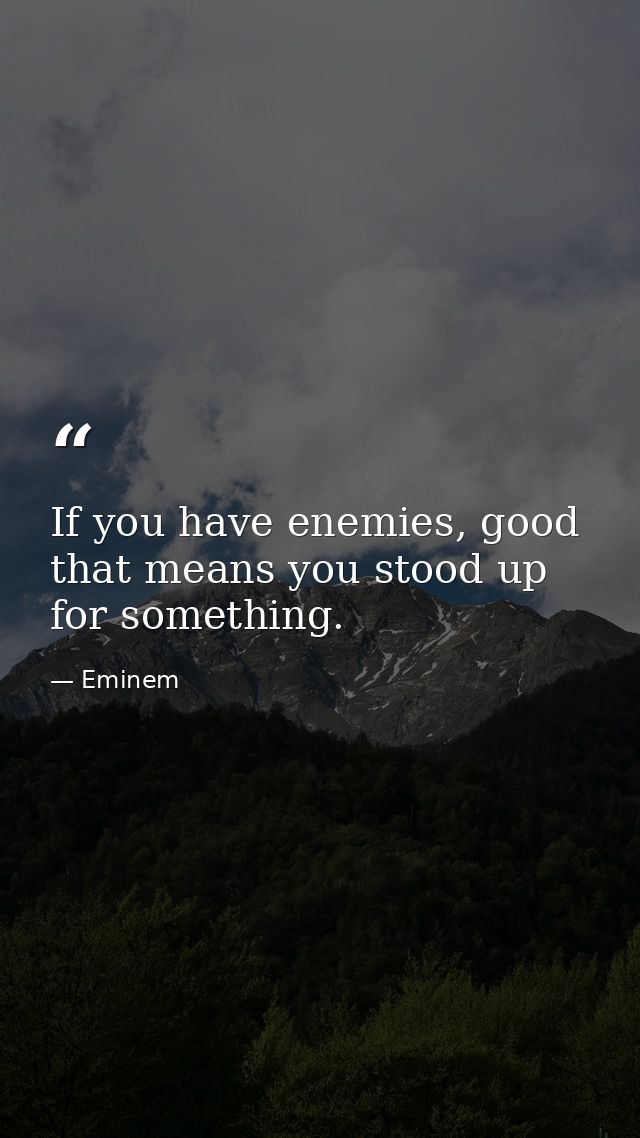 If you have enemies, good that means you stood up for something. — Eminem