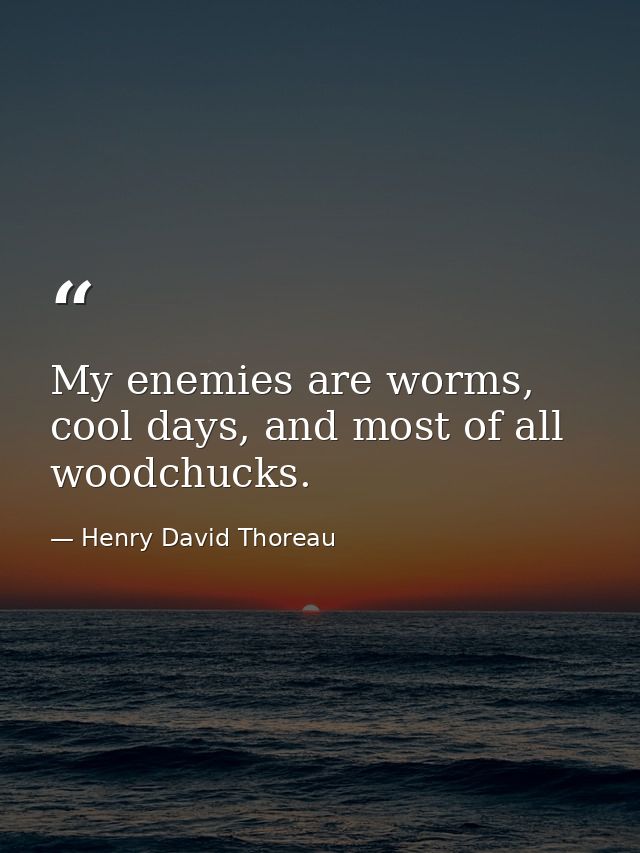 My enemies are worms, cool days, and most of all woodchucks. — Henry David Thoreau