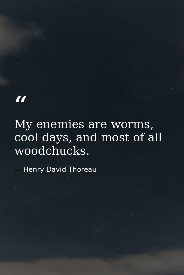 My enemies are worms, cool days, and most of all woodchucks. — Henry David Thoreau