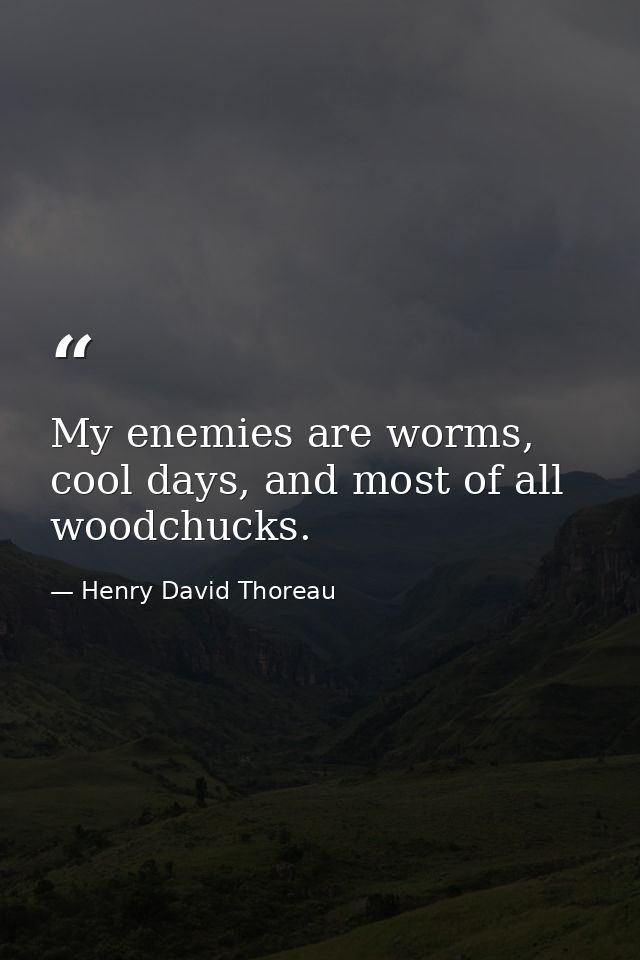 My enemies are worms, cool days, and most of all woodchucks. — Henry David Thoreau