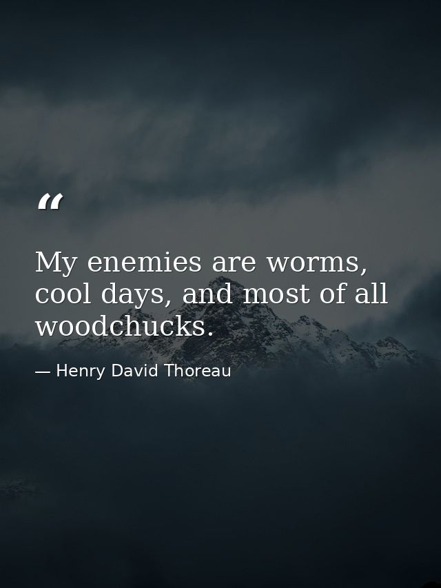 My enemies are worms, cool days, and most of all woodchucks. — Henry David Thoreau