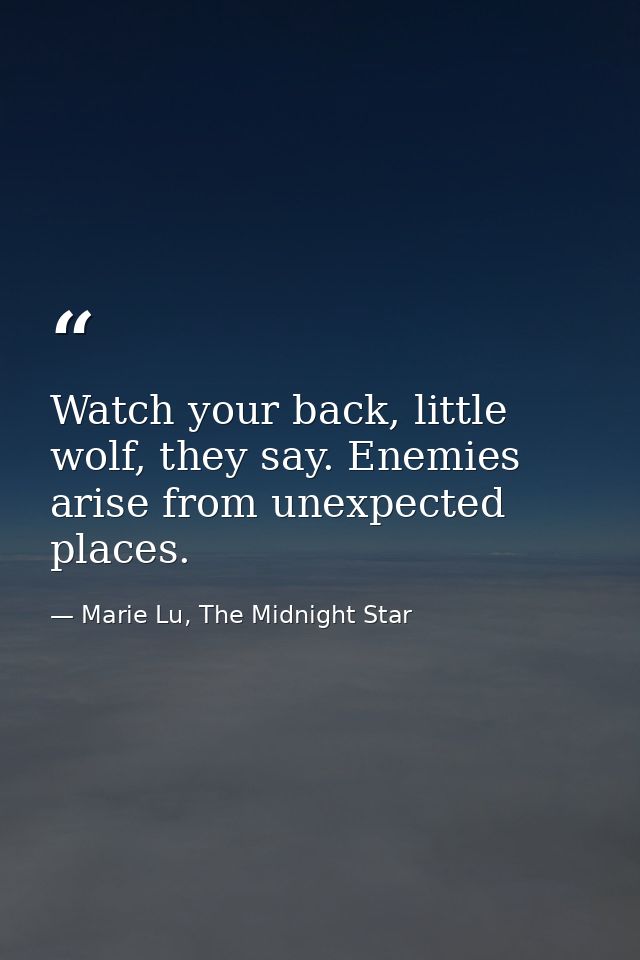 Watch your back, little wolf, they say. Enemies arise from unexpected places. — Marie Lu, The Midnight Star