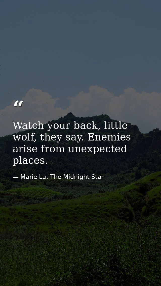 Watch your back, little wolf, they say. Enemies arise from unexpected places. — Marie Lu, The Midnight Star
