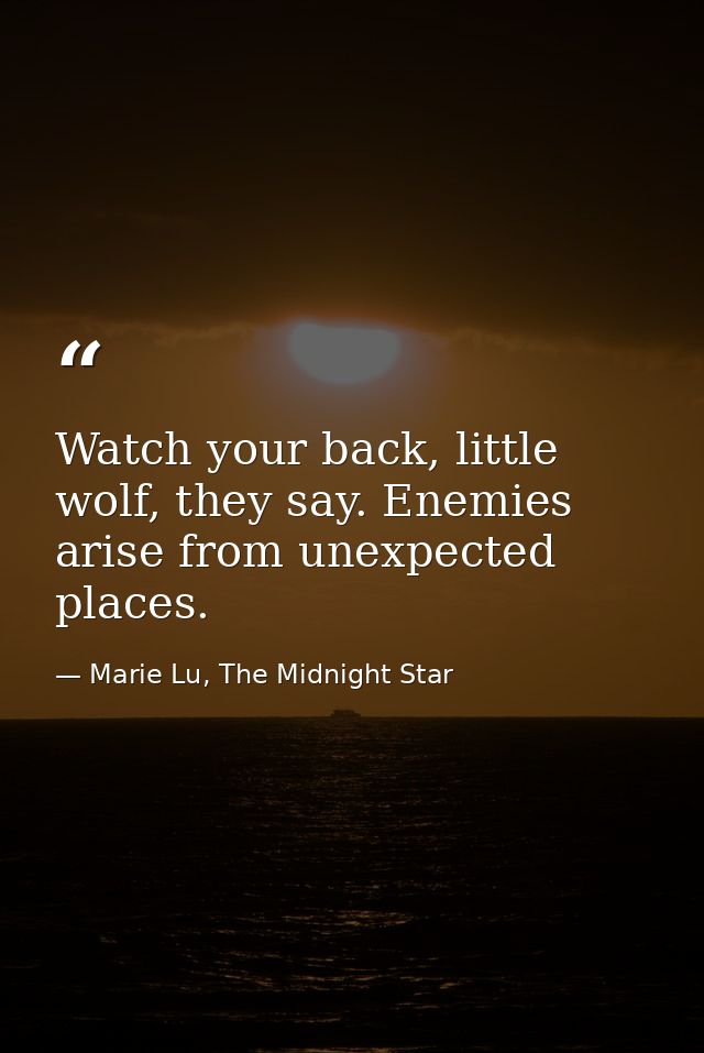 Watch your back, little wolf, they say. Enemies arise from unexpected places. — Marie Lu, The Midnight Star
