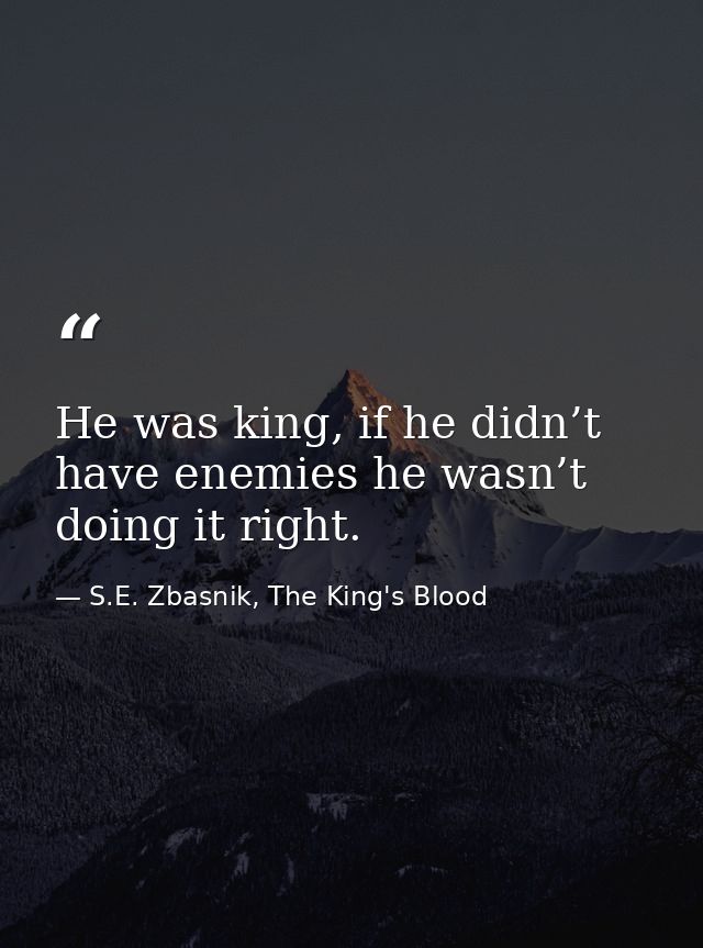 He was king, if he didn’t have enemies he wasn’t doing it right. — S.E. Zbasnik, The King's Blood