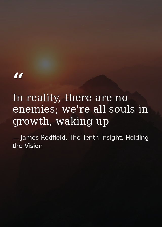 In reality, there are no enemies; we're all souls in growth, waking up — James Redfield, The Tenth Insight: Holding the Vision