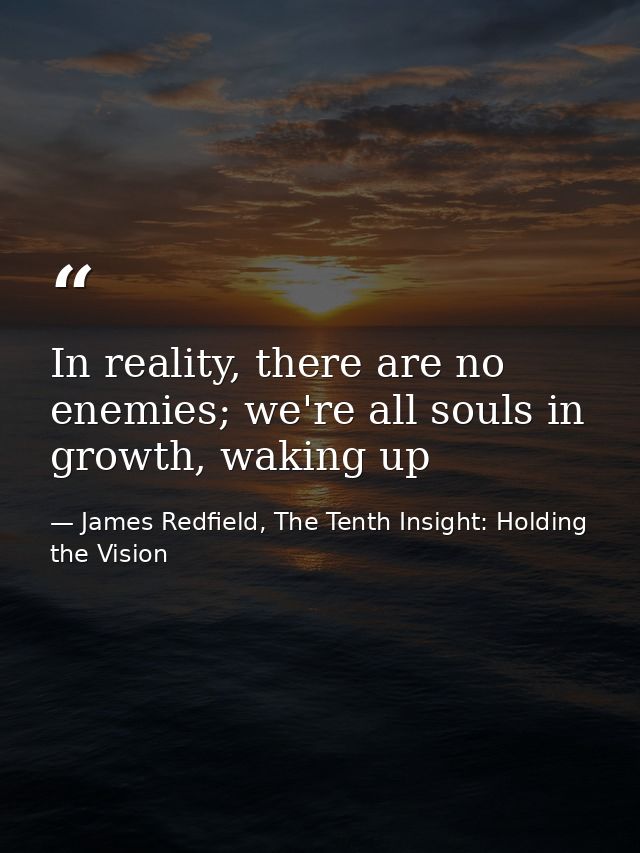 In reality, there are no enemies; we're all souls in growth, waking up — James Redfield, The Tenth Insight: Holding the Vision