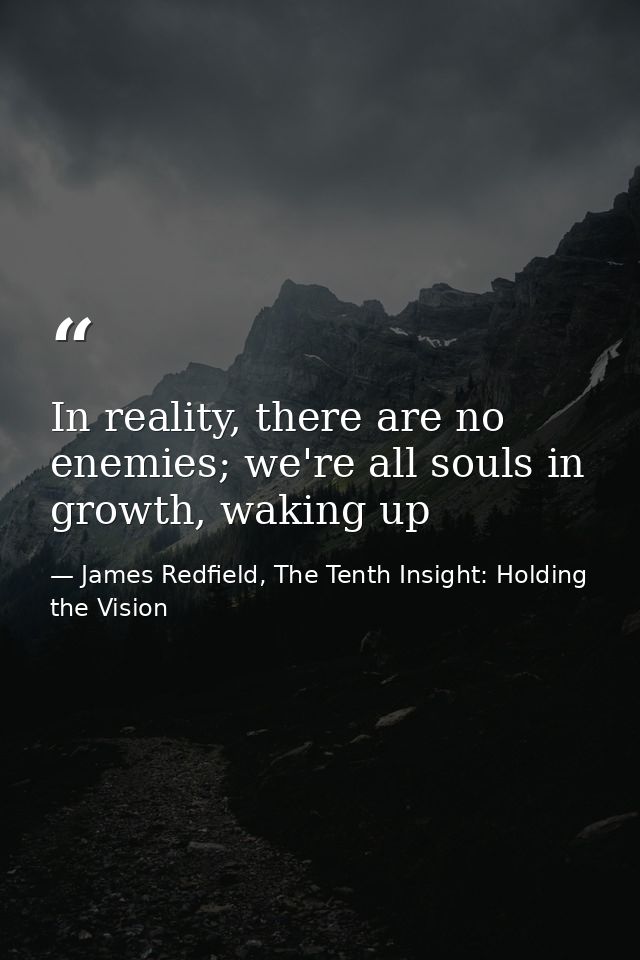 In reality, there are no enemies; we're all souls in growth, waking up — James Redfield, The Tenth Insight: Holding the Vision