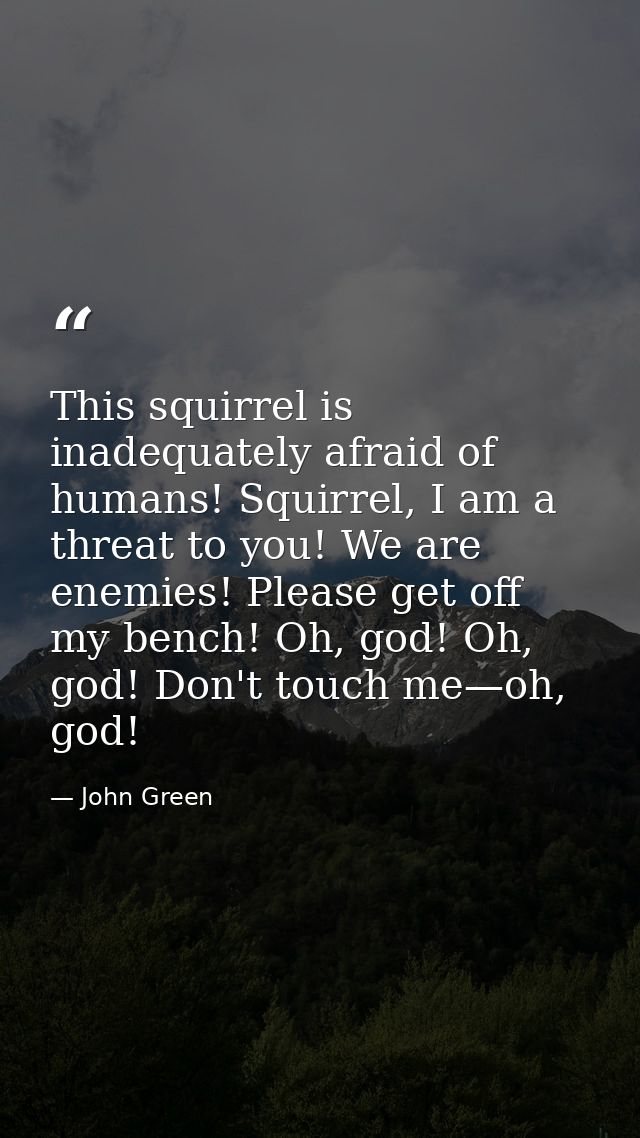 This squirrel is inadequately afraid of humans! Squirrel, I am a threat to you! We are enemies! Please get off my bench! — John Green