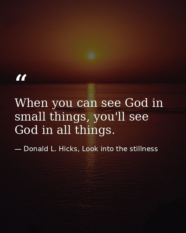 When you can see God in small things, you'll see God in all things. — Donald L. Hicks, Look into the stillness