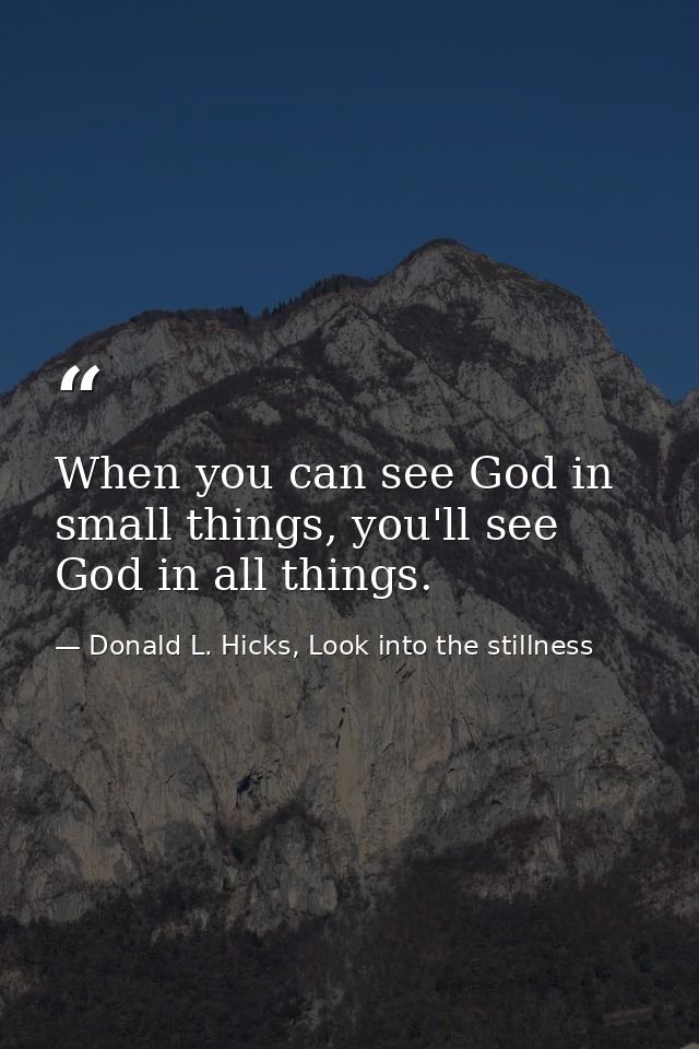 When you can see God in small things, you'll see God in all things. — Donald L. Hicks, Look into the stillness
