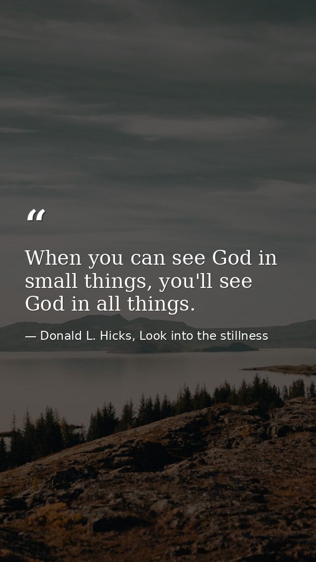 When you can see God in small things, you'll see God in all things. — Donald L. Hicks, Look into the stillness