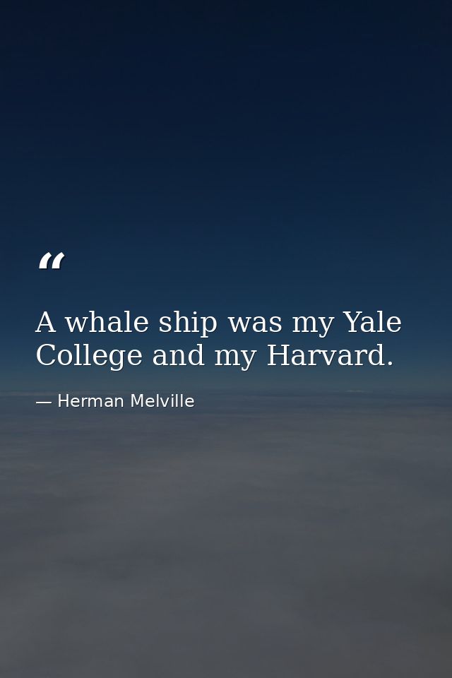 A whale ship was my Yale College and my Harvard. — Herman Melville