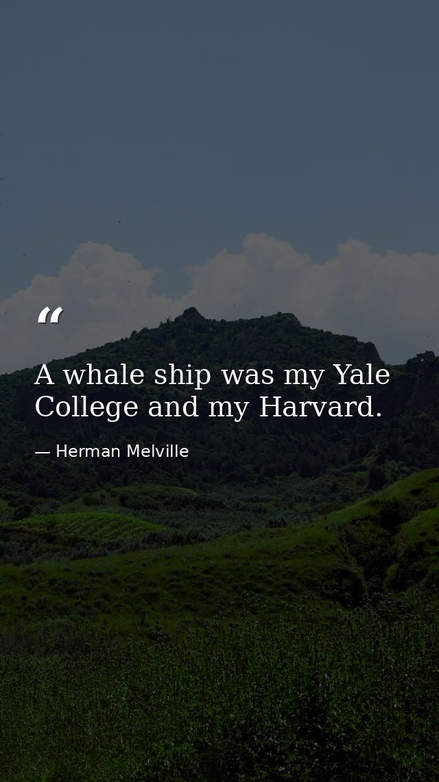 A whale ship was my Yale College and my Harvard. — Herman Melville