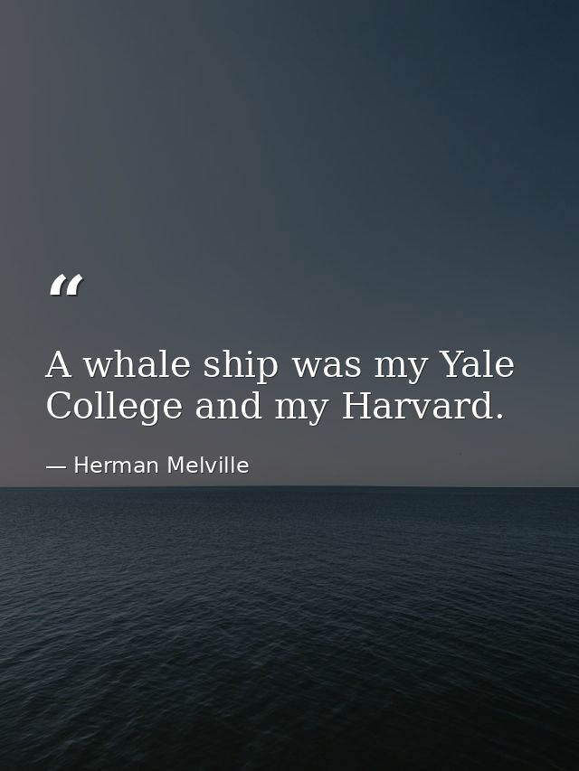 A whale ship was my Yale College and my Harvard. — Herman Melville