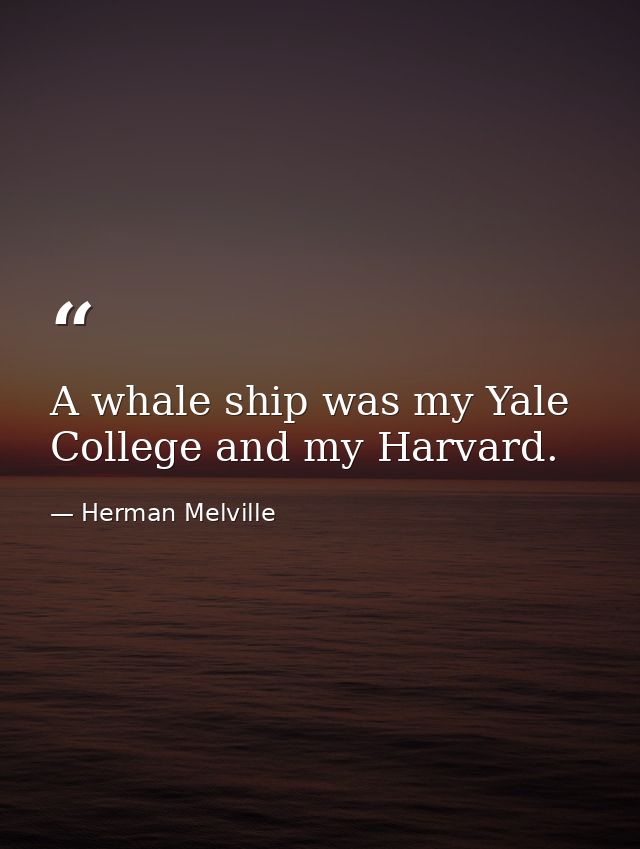 A whale ship was my Yale College and my Harvard. — Herman Melville