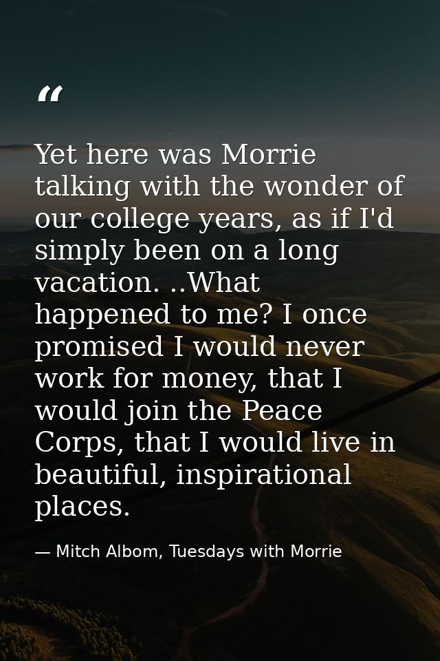 Yet here was Morrie talking with the wonder of our college years, as if I'd simply been on a long vacation. ..What happe — Mitch Albom, Tuesdays with Morrie