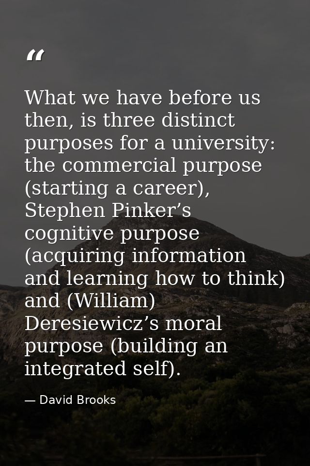 What we have before us then, is three distinct purposes for a university: the commercial purpose (starting a career), St — David Brooks