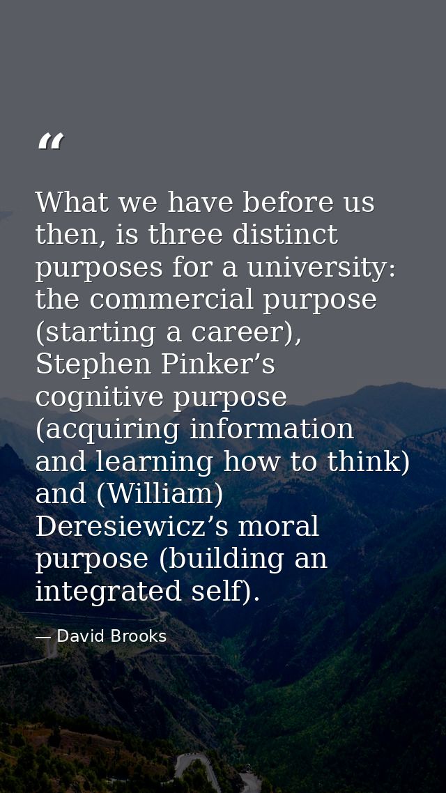 What we have before us then, is three distinct purposes for a university: the commercial purpose (starting a career), St — David Brooks