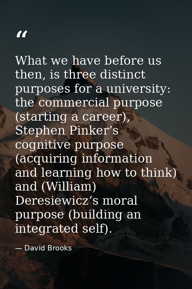 What we have before us then, is three distinct purposes for a university: the commercial purpose (starting a career), St — David Brooks