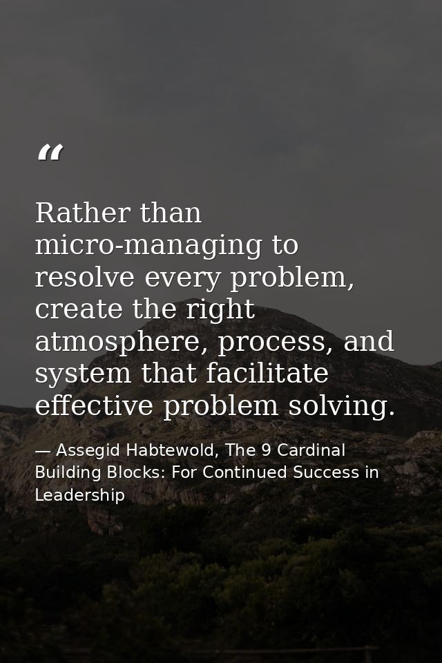 Rather than micro-managing to resolve every problem, create the right atmosphere, process, and system that facilitate ef — Assegid Habtewold, The 9 Cardinal Building Blocks: For Continued Success in Leadership