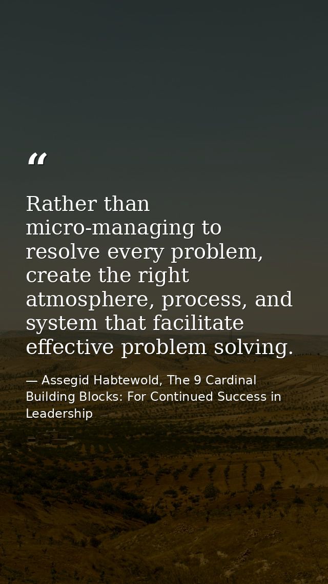 Rather than micro-managing to resolve every problem, create the right atmosphere, process, and system that facilitate ef — Assegid Habtewold, The 9 Cardinal Building Blocks: For Continued Success in Leadership