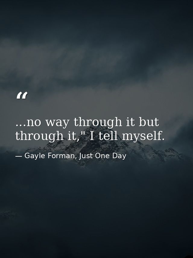 ...no way through it but through it," I tell myself. — Gayle Forman, Just One Day