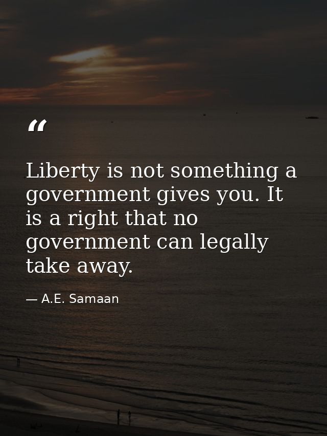 Liberty is not something a government gives you. It is a right that no government can legally take away. — A.E. Samaan