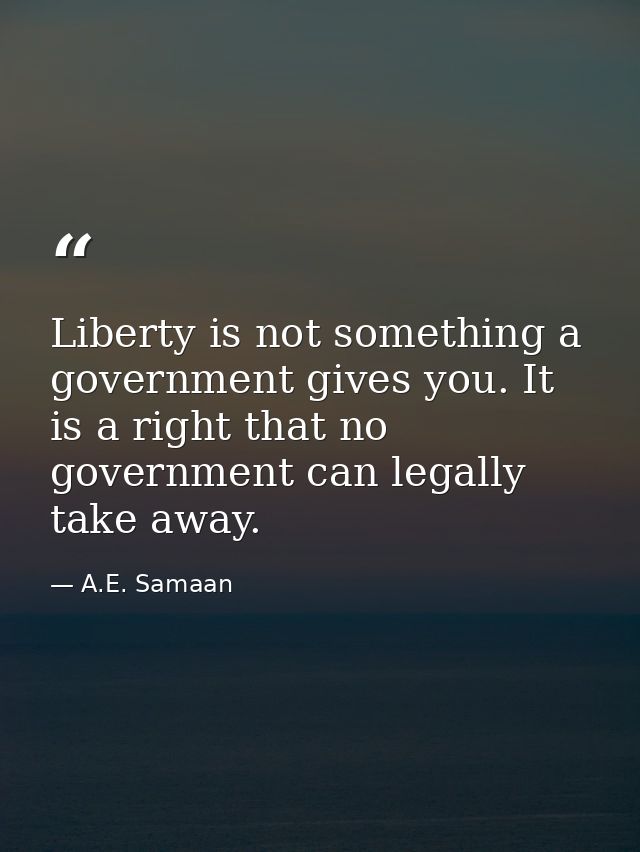 Liberty is not something a government gives you. It is a right that no government can legally take away. — A.E. Samaan