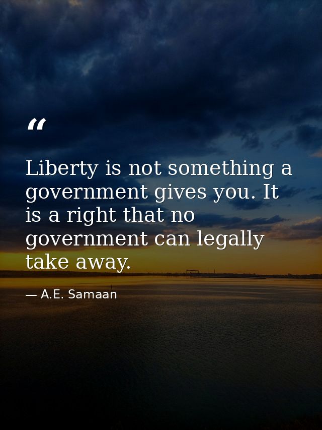 Liberty is not something a government gives you. It is a right that no government can legally take away. — A.E. Samaan