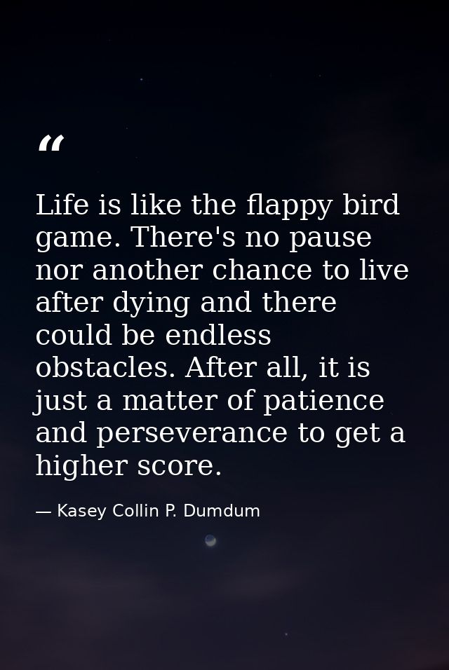 Life is like the flappy bird game. There's no pause nor another chance to live after dying and there could be endless ob — Kasey Collin P. Dumdum