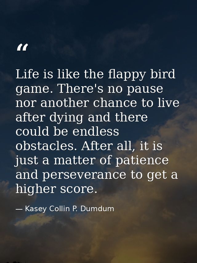 Life is like the flappy bird game. There's no pause nor another chance to live after dying and there could be endless ob — Kasey Collin P. Dumdum