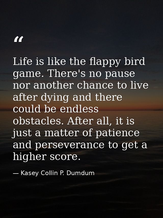 Life is like the flappy bird game. There's no pause nor another chance to live after dying and there could be endless ob — Kasey Collin P. Dumdum