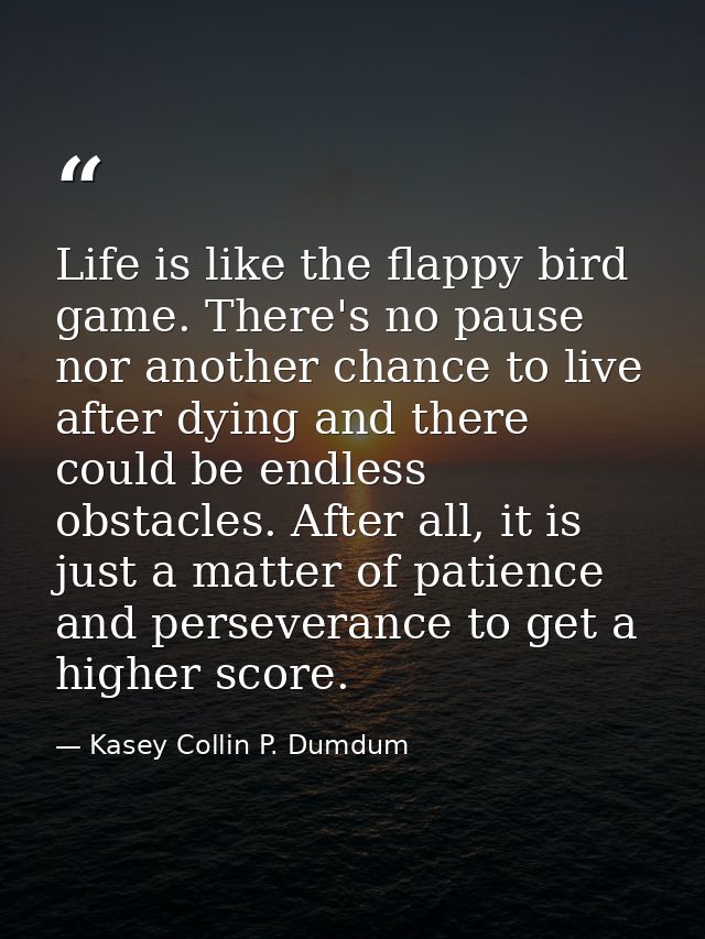 Life is like the flappy bird game. There's no pause nor another chance to live after dying and there could be endless ob — Kasey Collin P. Dumdum