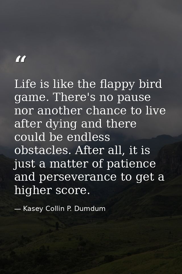Life is like the flappy bird game. There's no pause nor another chance to live after dying and there could be endless ob — Kasey Collin P. Dumdum