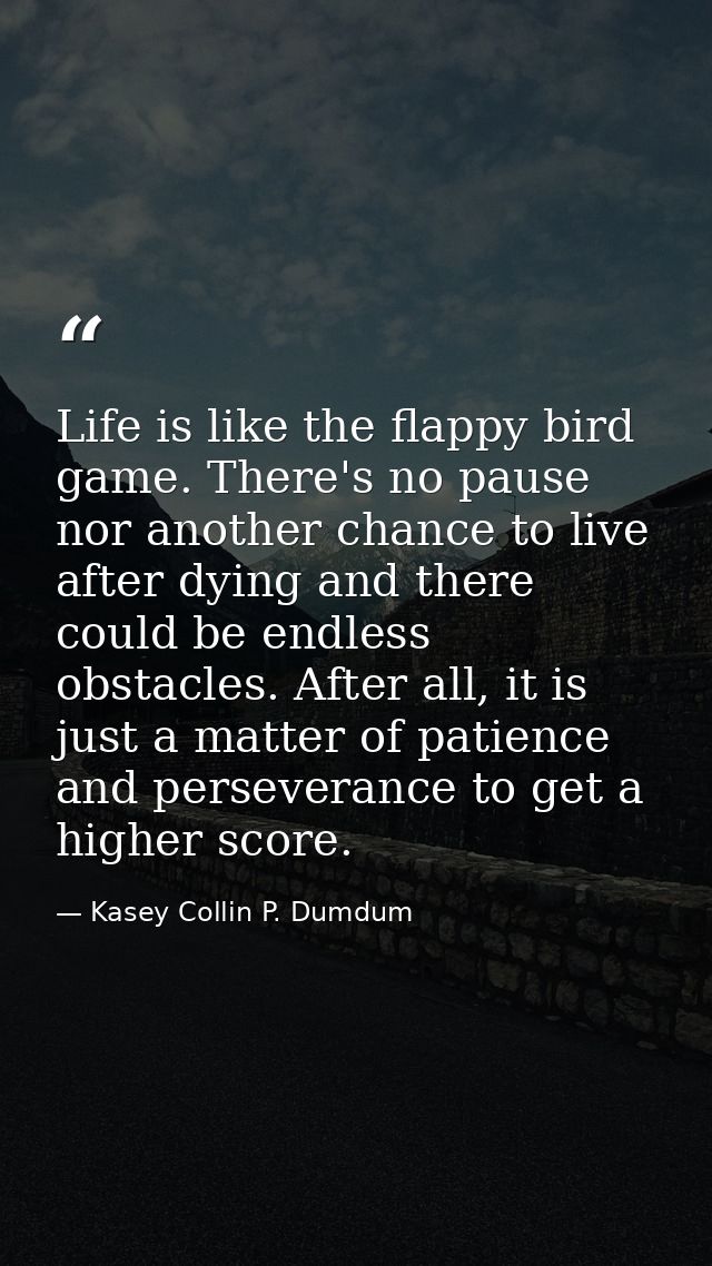 Life is like the flappy bird game. There's no pause nor another chance to live after dying and there could be endless ob — Kasey Collin P. Dumdum
