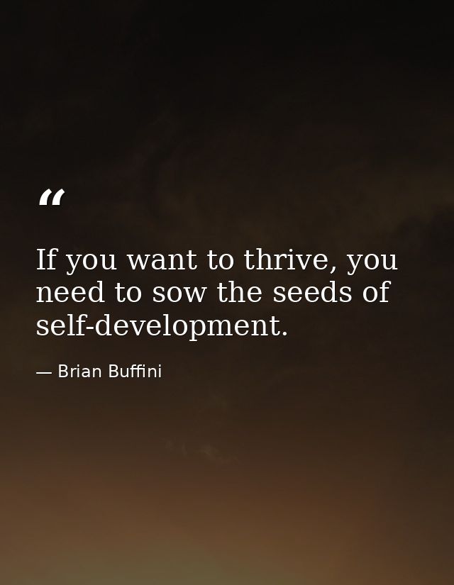 If you want to thrive, you need to sow the seeds of self-development. — Brian Buffini