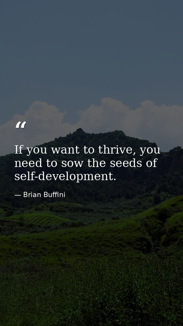 If you want to thrive, you need to sow the seeds of self-development. — Brian Buffini
