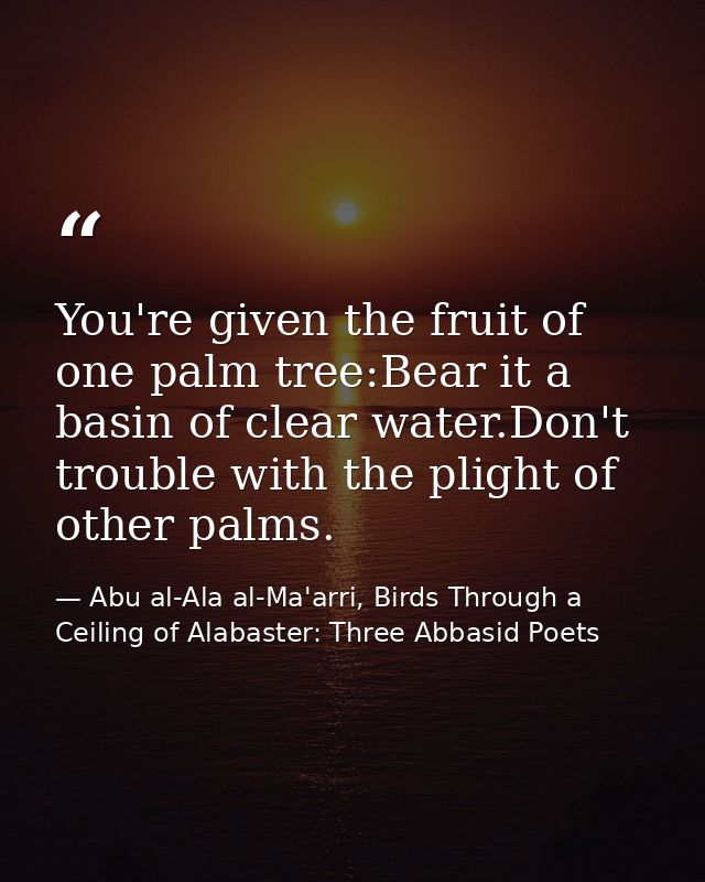 You're given the fruit of one palm tree:Bear it a basin of clear water.Don't trouble with the plight of other palms. — Abu al-Ala al-Ma'arri, Birds Through a Ceiling of Alabaster: Three Abbasid Poets