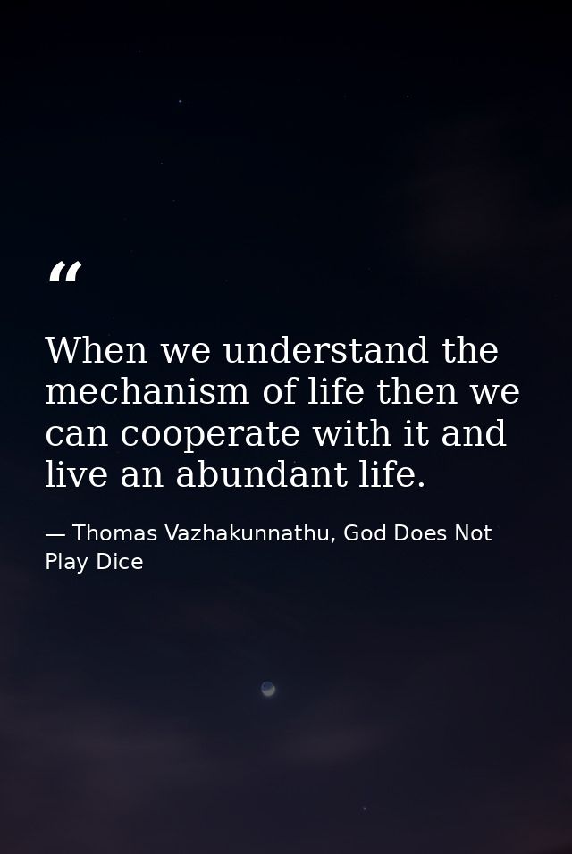 When we understand the mechanism of life then we can cooperate with it and live an abundant life. — Thomas Vazhakunnathu, God Does Not Play Dice