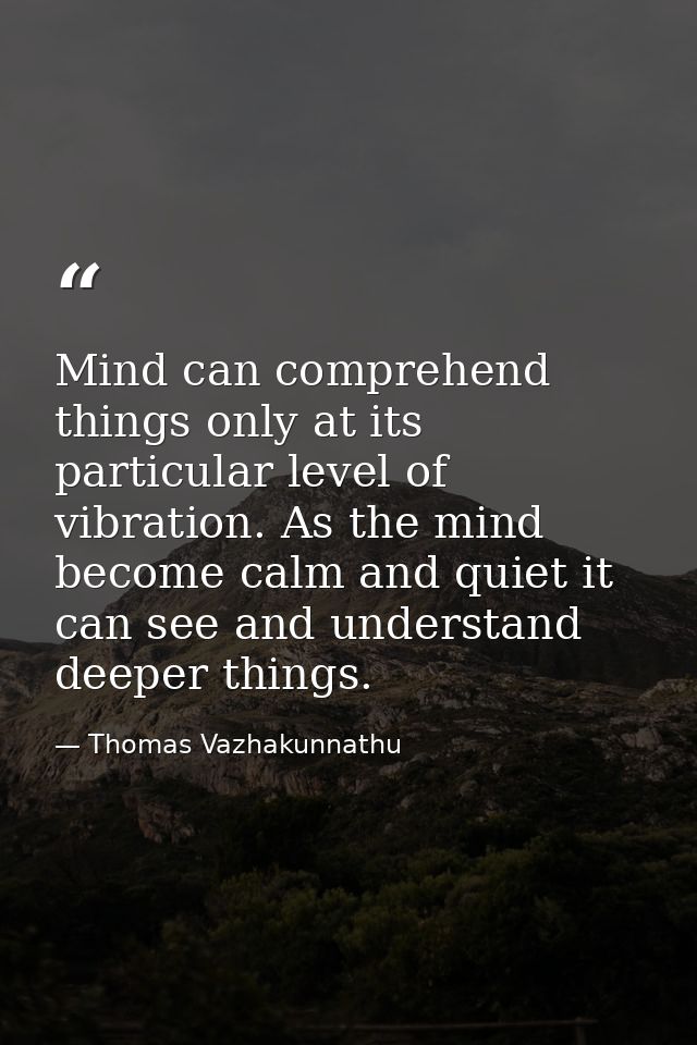 Mind can comprehend things only at its particular level of vibration. As the mind become calm and quiet it can see and u — Thomas Vazhakunnathu