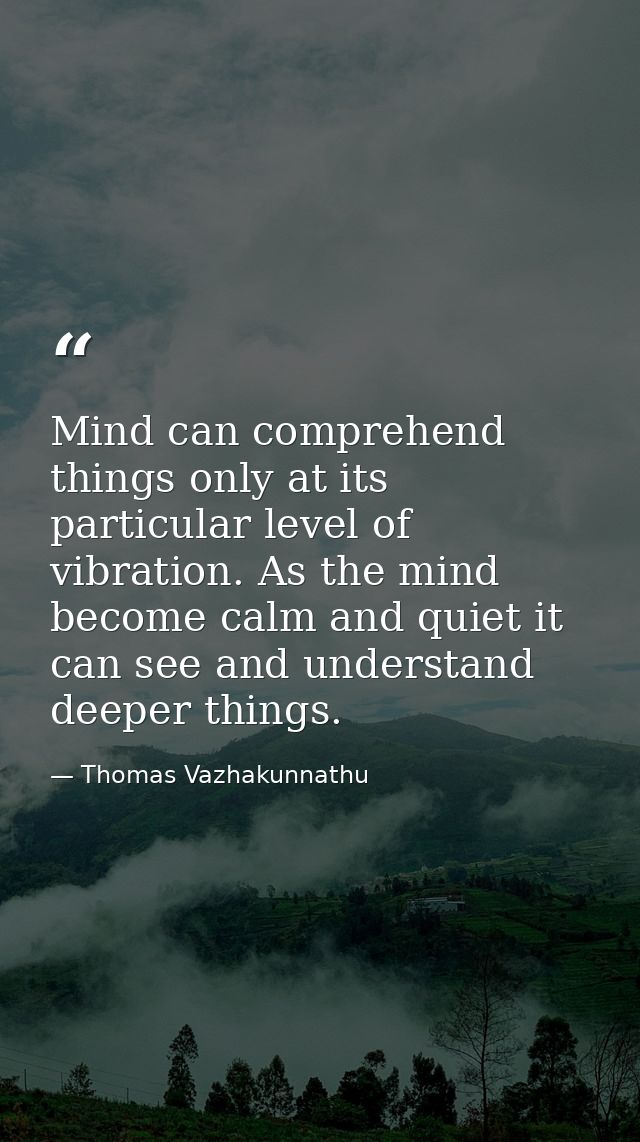 Mind can comprehend things only at its particular level of vibration. As the mind become calm and quiet it can see and u — Thomas Vazhakunnathu