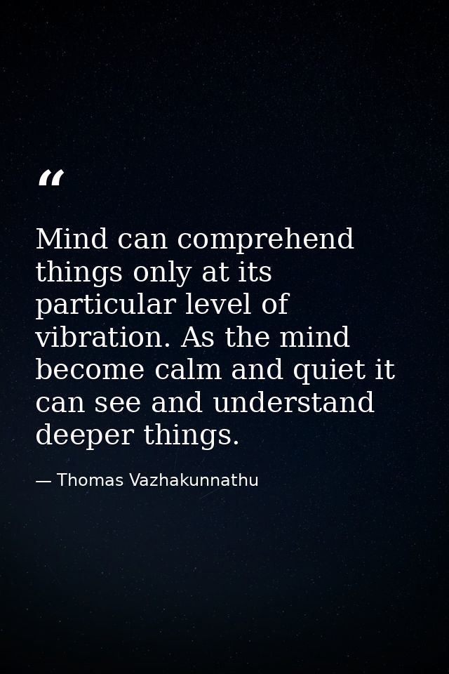 Mind can comprehend things only at its particular level of vibration. As the mind become calm and quiet it can see and u — Thomas Vazhakunnathu
