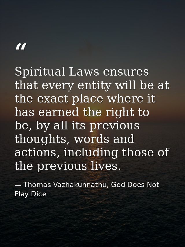 Spiritual Laws ensures that every entity will be at the exact place where it has earned the right to be, by all its prev — Thomas Vazhakunnathu, God Does Not Play Dice
